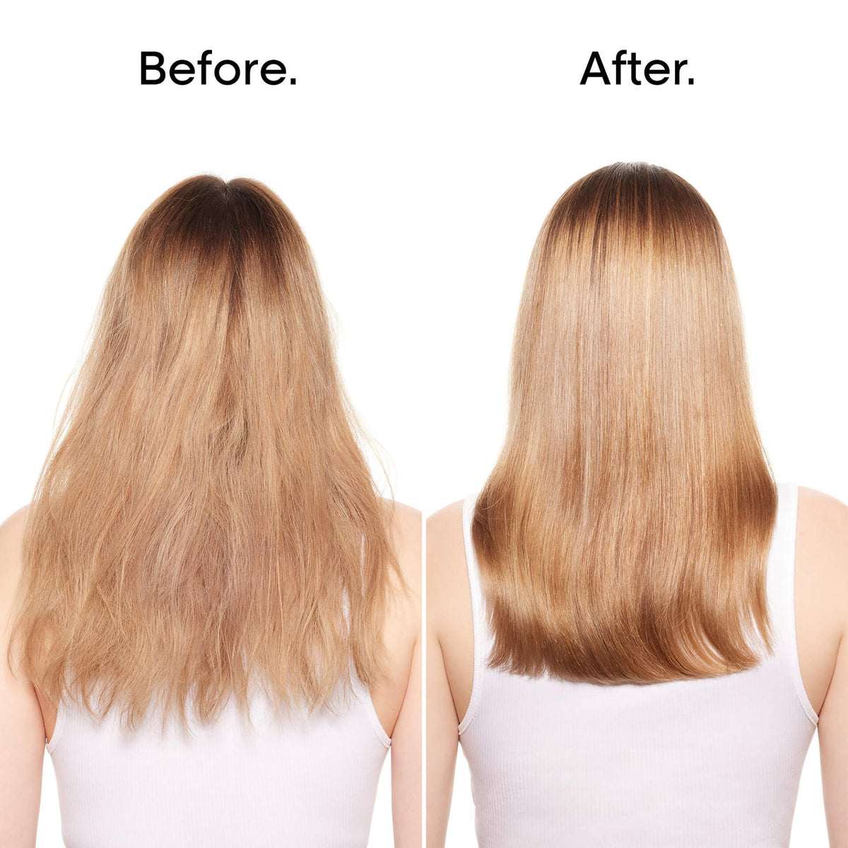 Absolut Repair 10-In-1 Perfecting Multipurpose Oil