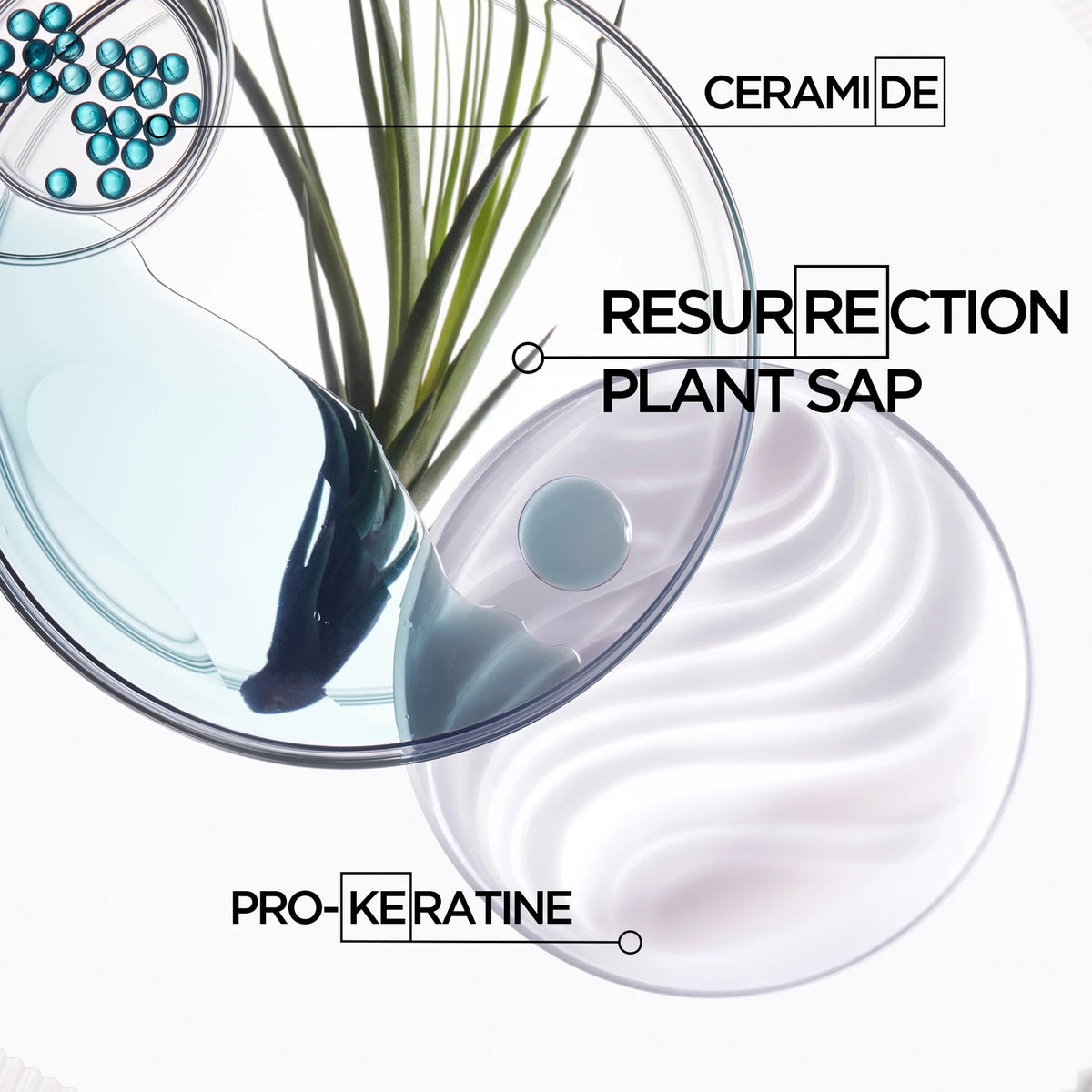 Kérastase Résistance Ciment Anti-Usure Conditioner